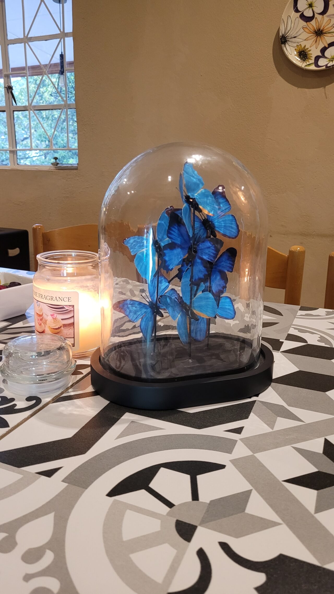 69315b5b-e4ff-4c48-9774-e1412e8d8610