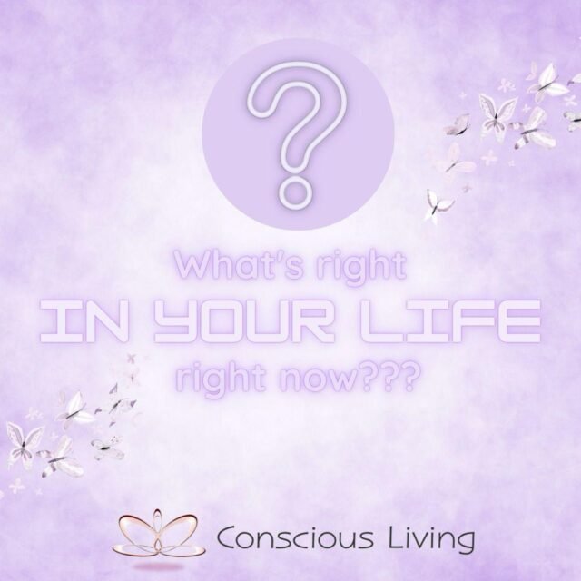 WhatsApp Image 2026-01-30 at 10.05.43