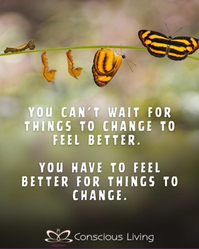 WhatsApp Image 2026-01-30 at 10.05.43333