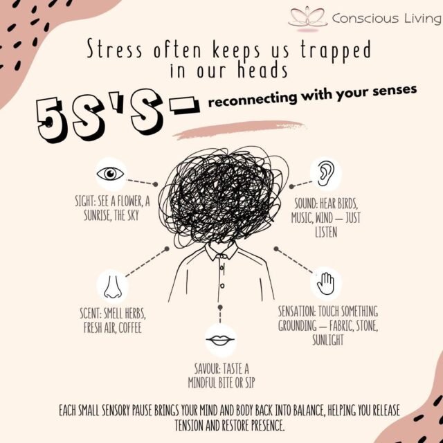 WhatsApp Image 2026-01-30 at 10.05.444