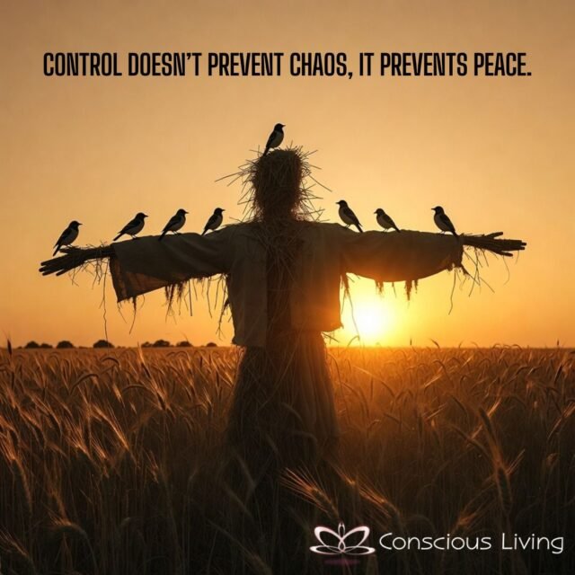 WhatsApp Image 2026-03-05 at 14.24.301